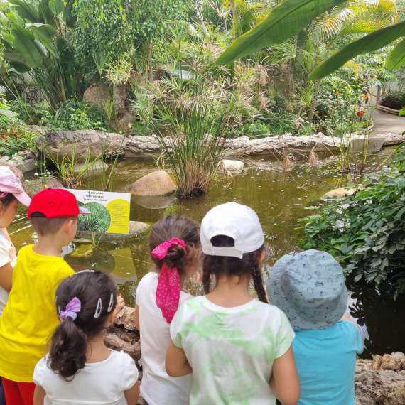 WhatsApp Image 2022-05-20 at 12.29.57