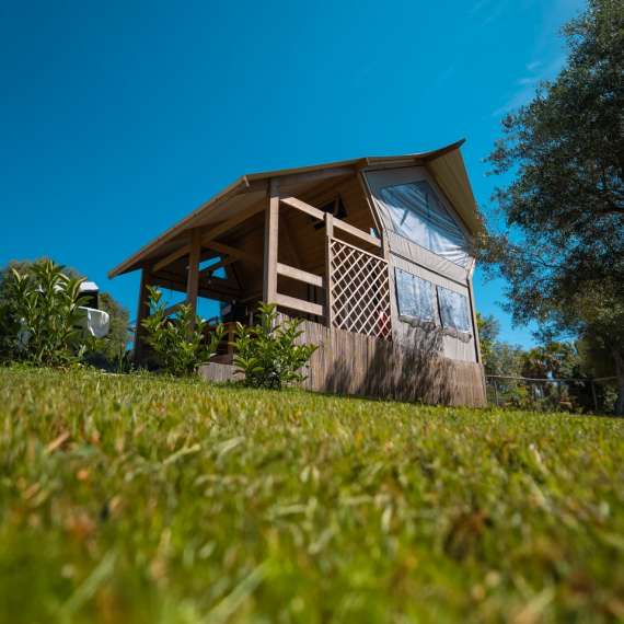 28052025-ULD01311 (1)