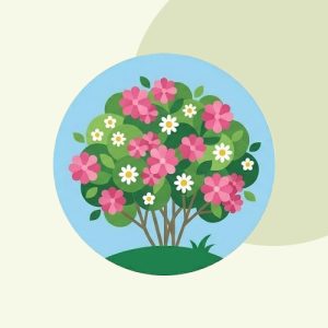Arbusti da fiore e aromatici